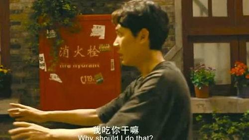 中药成精视频在线观看国产,中药成精视频在线观看之旅