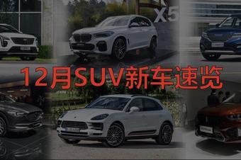 试驾视频国产越野车,驾驭激情，征服极限