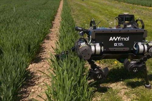 国产插秧机器人视频简介,国产机器人助力农业现代化